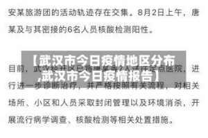 【武汉市今日疫情地区分布,武汉市今日疫情报告】