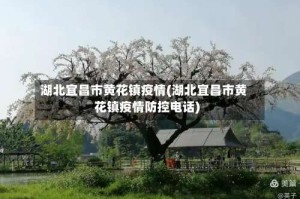 湖北宜昌市黄花镇疫情(湖北宜昌市黄花镇疫情防控电话)