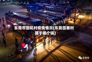 东莞市田坑村疫情情况(东莞田寮村属于哪个镇)