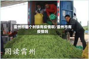 雷州市哪个村镇有疫情啊/雷州市有疫情吗