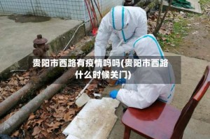 贵阳市西路有疫情吗吗(贵阳市西路什么时候关门)