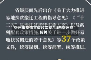 忻州市疫情宣传片文案/山西忻州宣传片