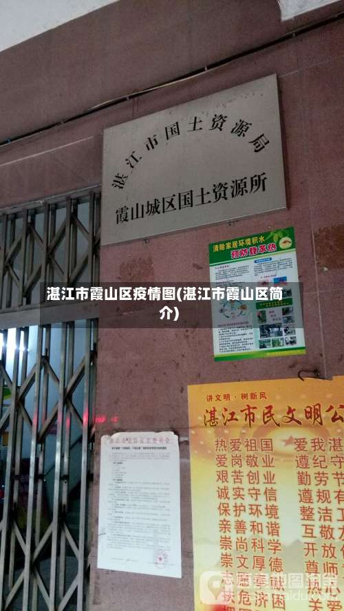 湛江市霞山区疫情图(湛江市霞山区简介)-第2张图片