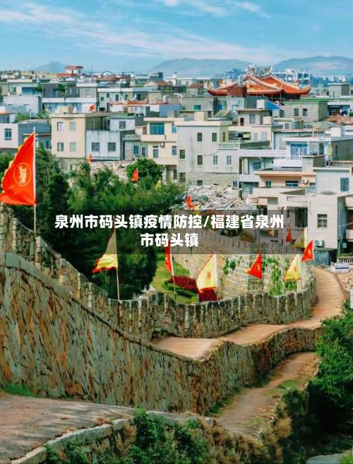 泉州市码头镇疫情防控/福建省泉州市码头镇-第3张图片