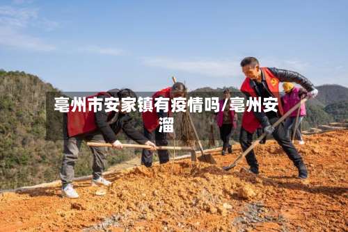 亳州市安家镇有疫情吗/亳州安溜-第2张图片