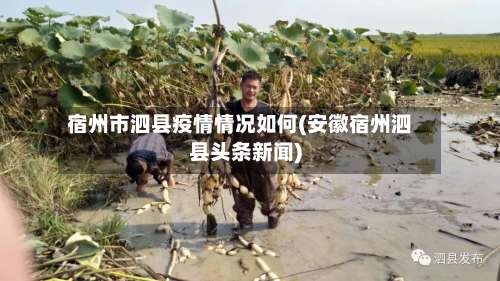 宿州市泗县疫情情况如何(安徽宿州泗县头条新闻)-第2张图片