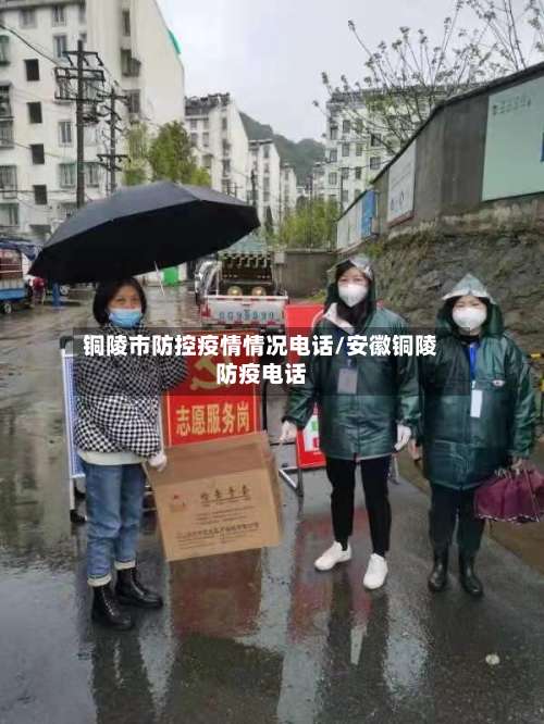 铜陵市防控疫情情况电话/安徽铜陵防疫电话-第1张图片