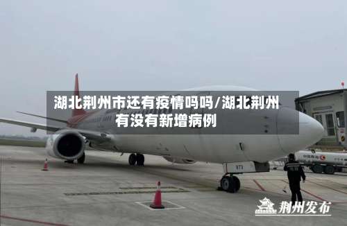 湖北荆州市还有疫情吗吗/湖北荆州有没有新增病例-第3张图片