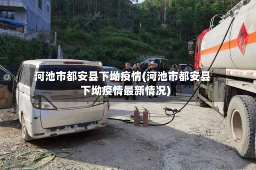 河池市都安县下坳疫情(河池市都安县下坳疫情最新情况)-第2张图片